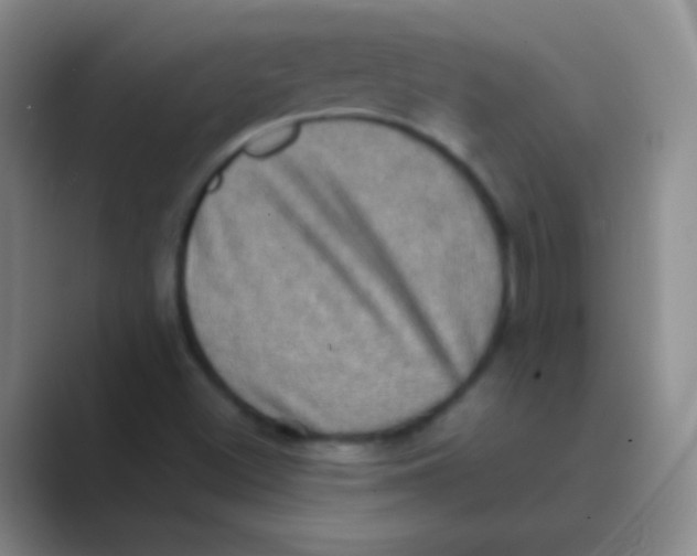 X0000088721500200706282053