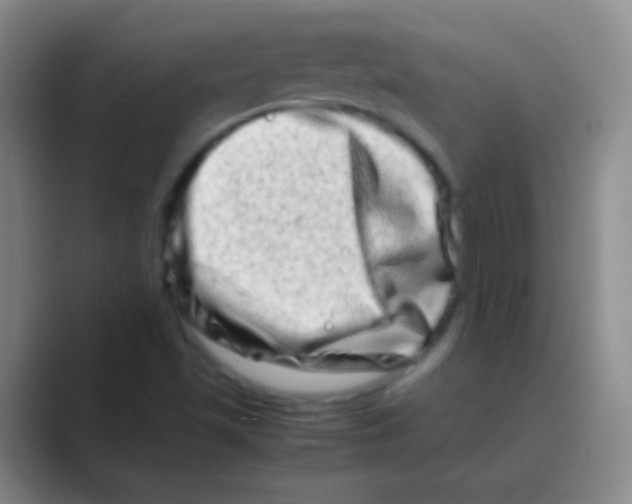 X0000088721501200706282053