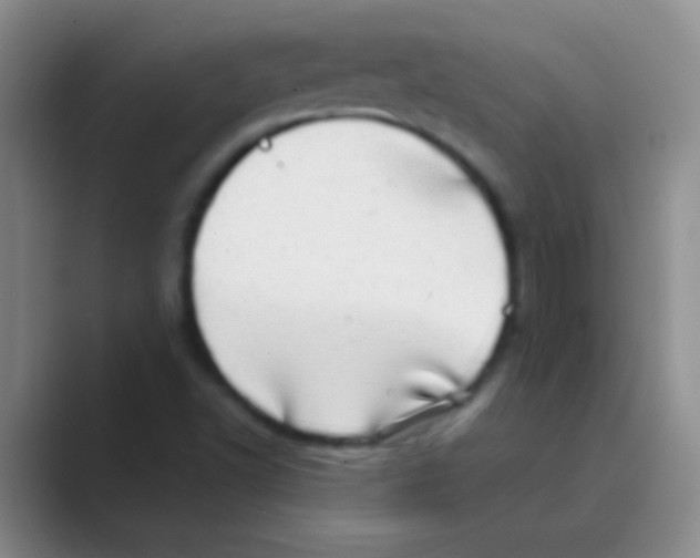 X0000088721502200706282053