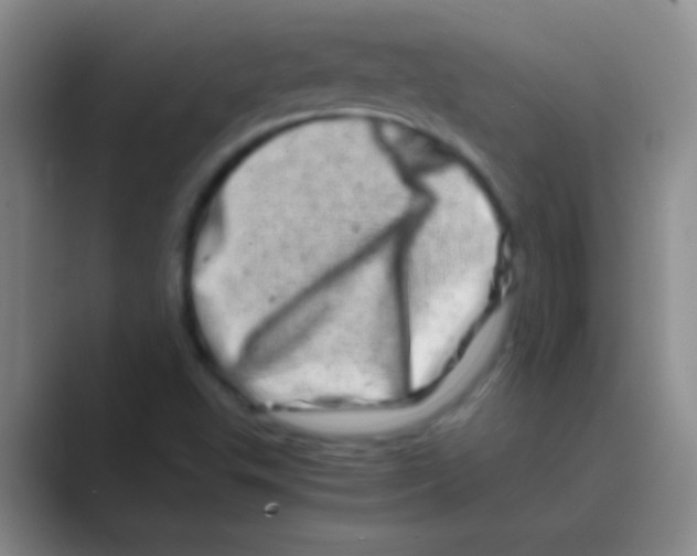 X0000088721503200706282053