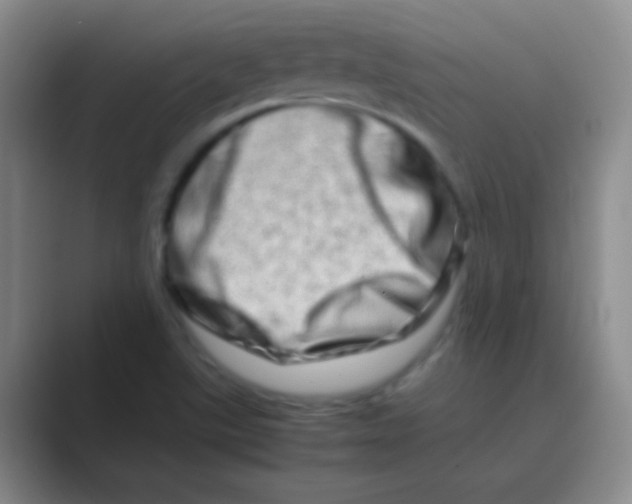 X0000088721507200706282053