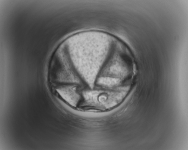 X0000088721508200706282053