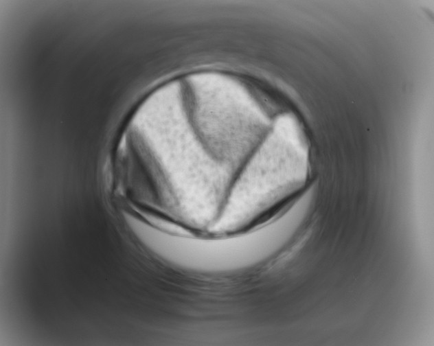 X0000088721509200706282053