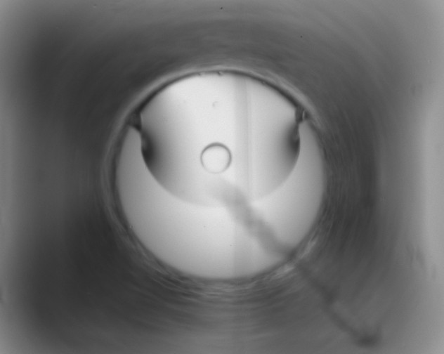 X0000088721510200706282053