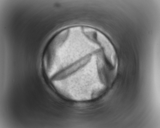 X0000088721511200706282053