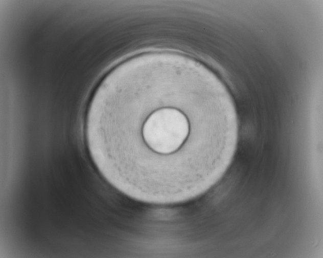 X0000088721514200706282053