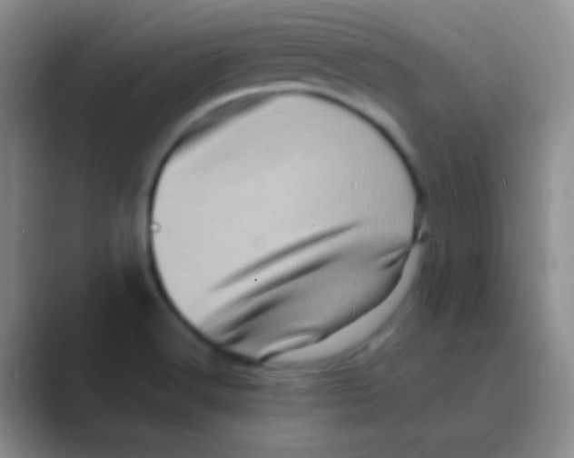 X0000088721516200706282053