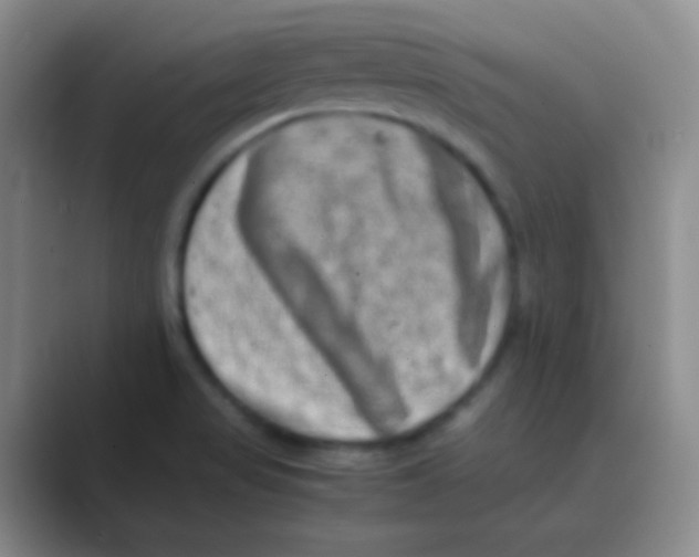 X0000088721517200706282053