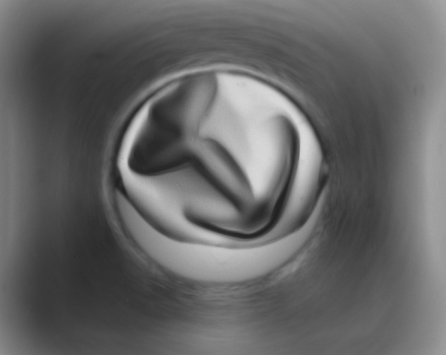 X0000088721518200706282053