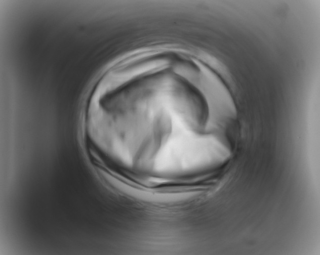 X0000088721520200706282053