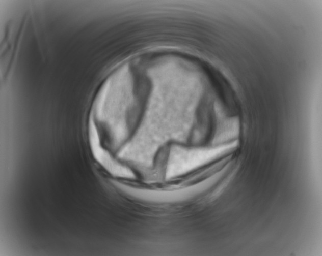 X0000088721521200706282053