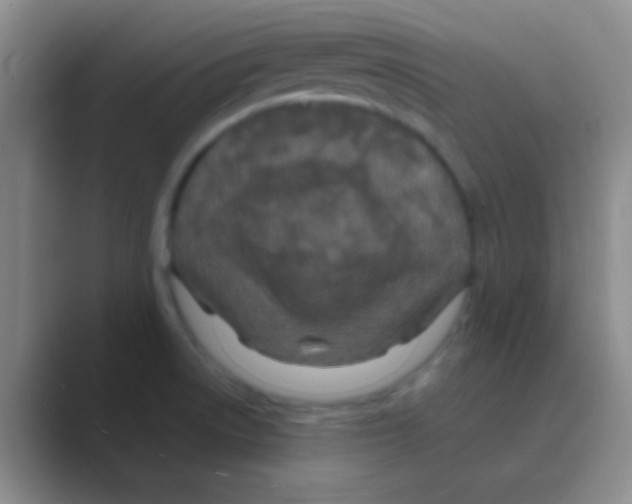 X0000088721522200706282053