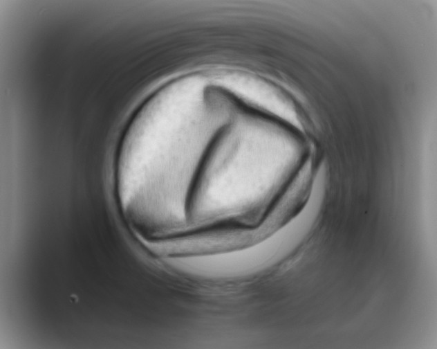 X0000088721523200706282053