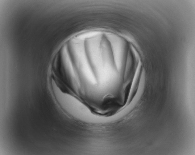 X0000088721524200706282053