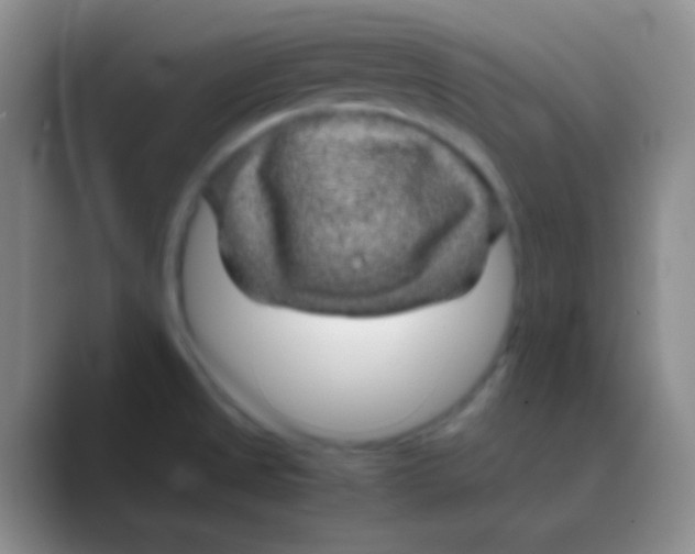 X0000088721525200706282053