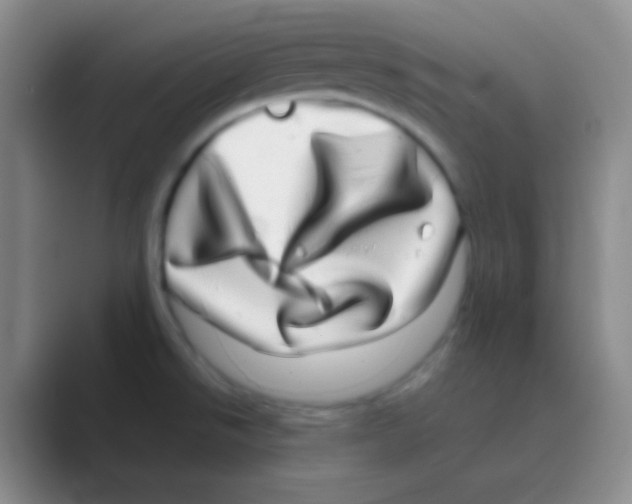 X0000088721526200706282053