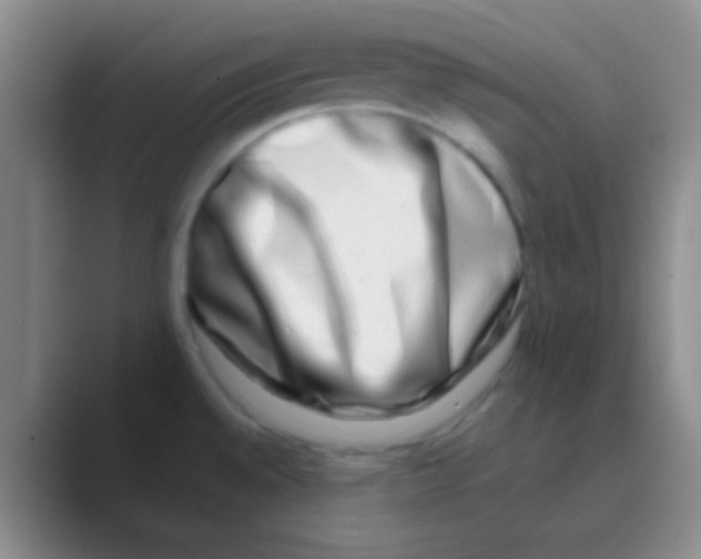 X0000088721528200706282053