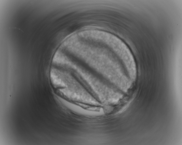 X0000088721529200706282053