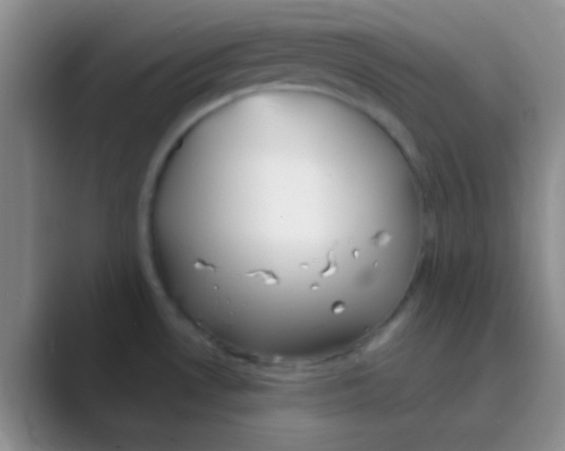 X0000088721530200706282053