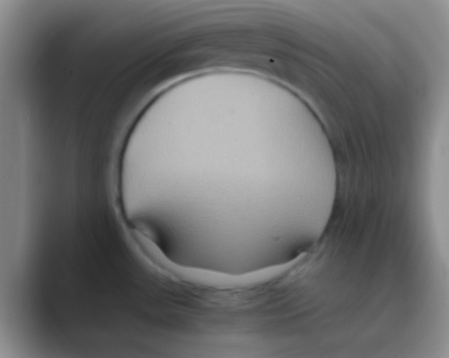 X0000088721531200706282053