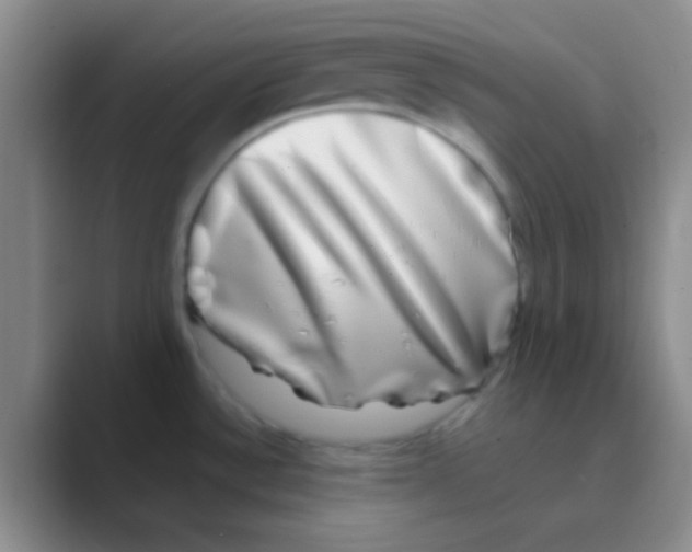 X0000088721532200706282053