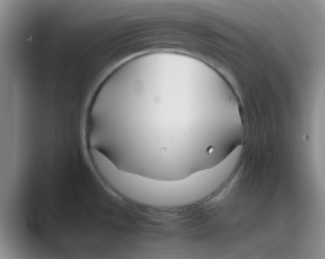 X0000088721533200706282053