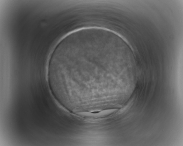 X0000088721535200706282053