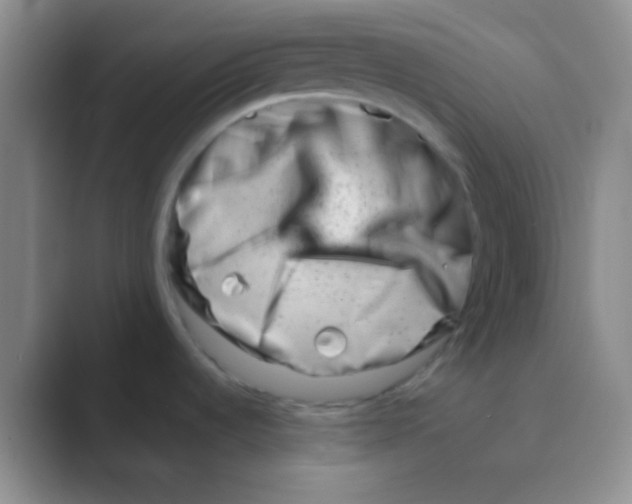 X0000088721536200706282053