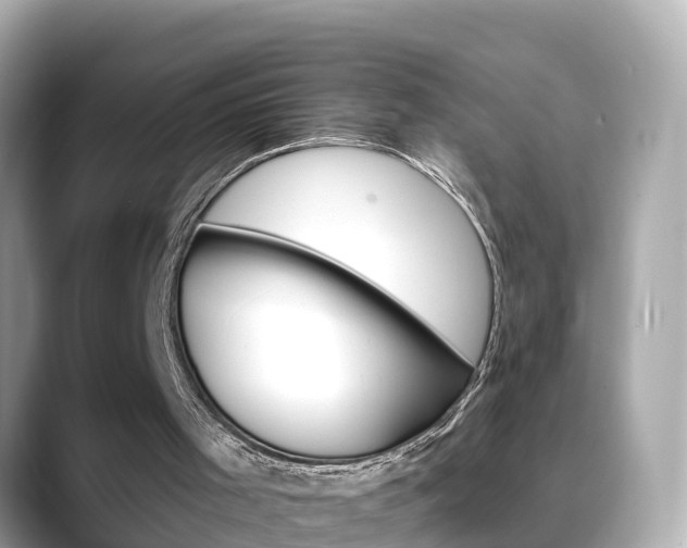 X0000088730001200705311124
