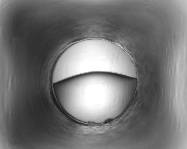 X0000088730005200705311124