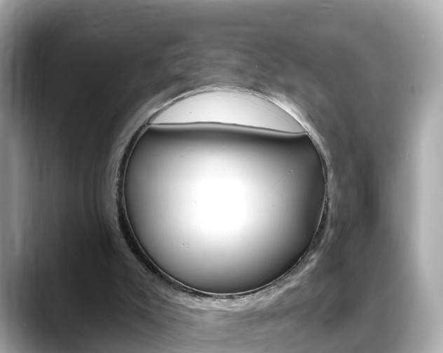 X0000088730007200705311124