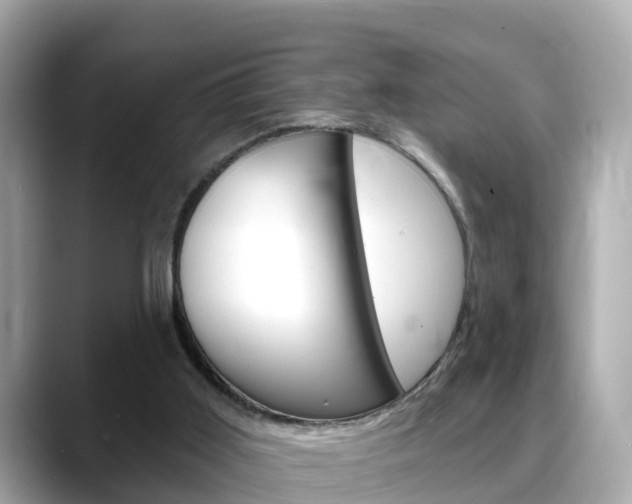 X0000088730011200705311124