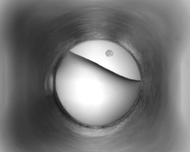 X0000088730014200705311124