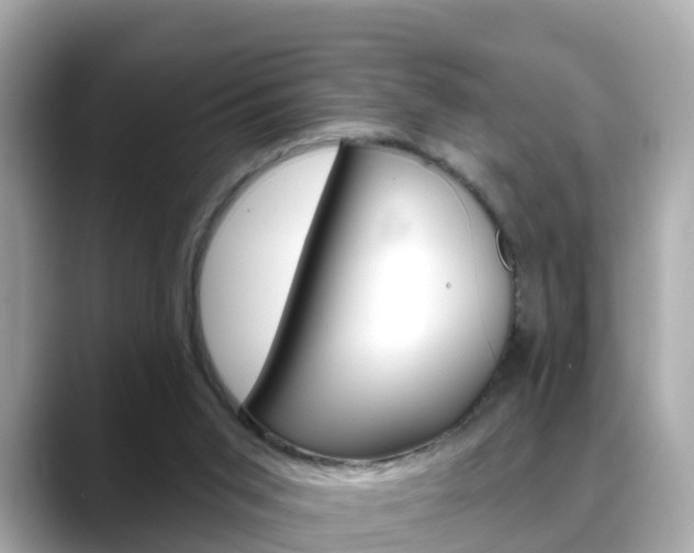 X0000088730015200705311124
