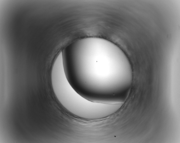 X0000088730019200705311124