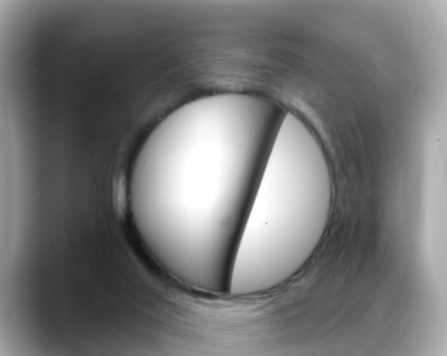 X0000088730020200705311124