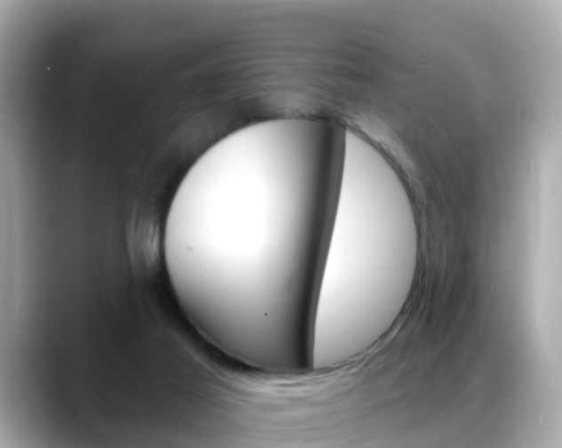 X0000088730021200705311124