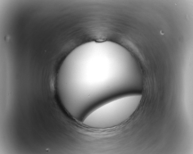 X0000088730023200705311124