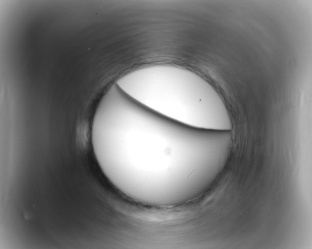 X0000088730024200705311124