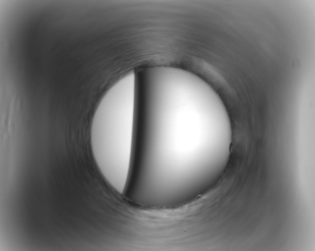 X0000088730025200705311124