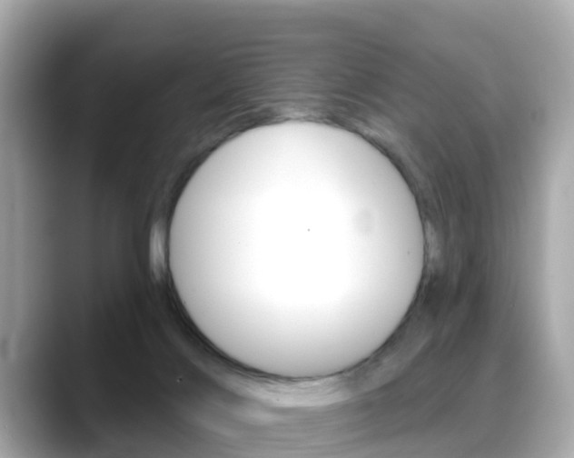 X0000088730028200705311124
