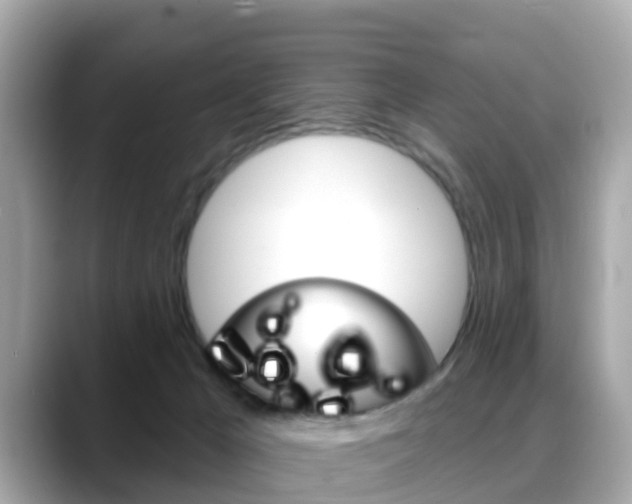 X0000088730029200705311124