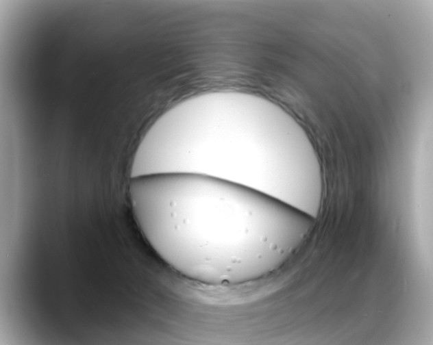 X0000088730030200705311124