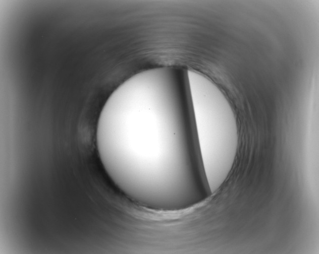 X0000088730031200705311124