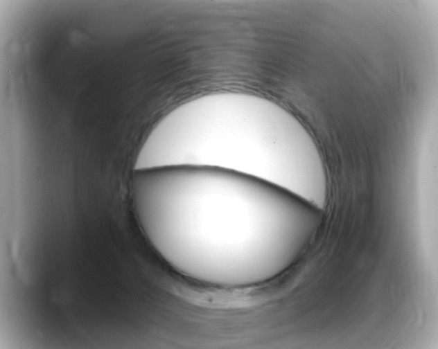 X0000088730032200705311124