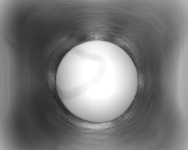 X0000088730036200705311124