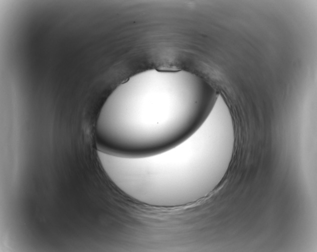 X0000088730037200705311124
