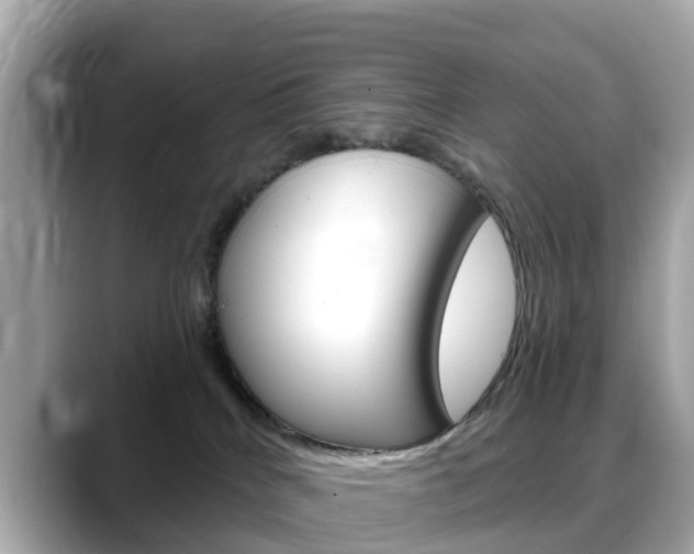 X0000088730040200705311124