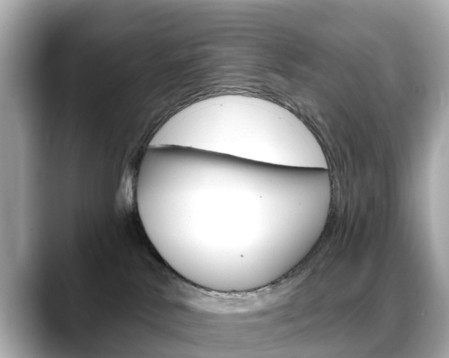 X0000088730042200705311124