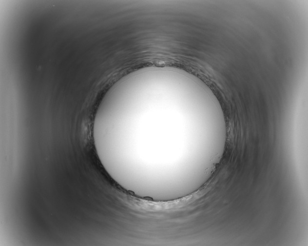 X0000088730043200705311124